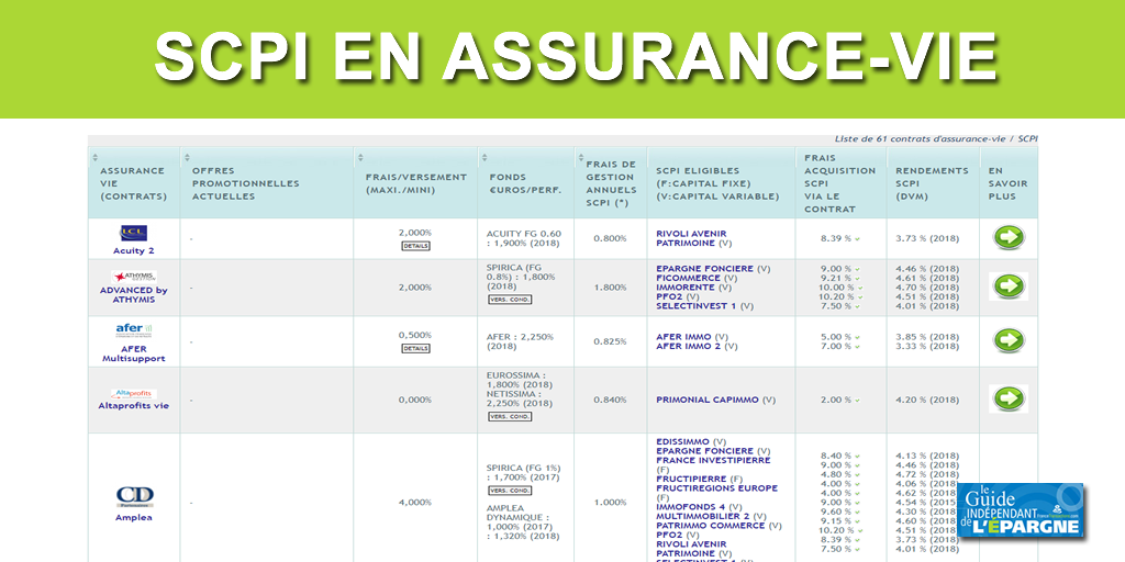 SCPI et Assurance-Vie : le Duo gagnant ! SCPI et Assurance-Vie : le Duo gagnant !