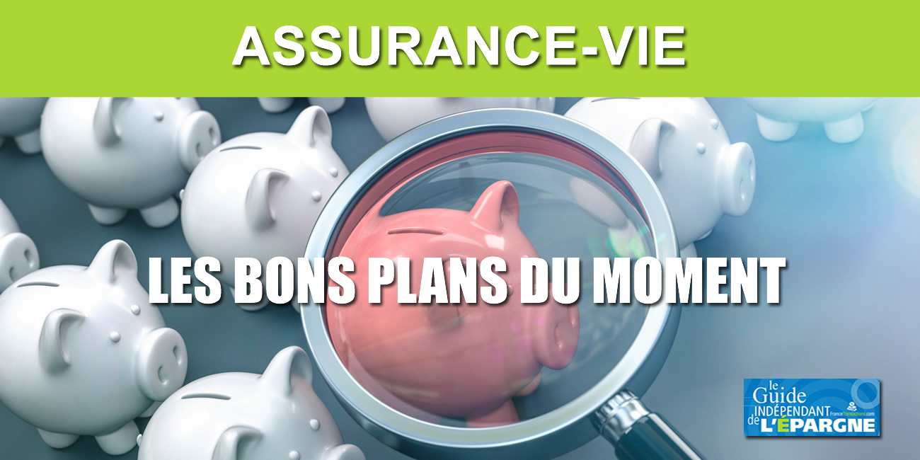Assurance-vie : meilleures opportunités en Mai 2025