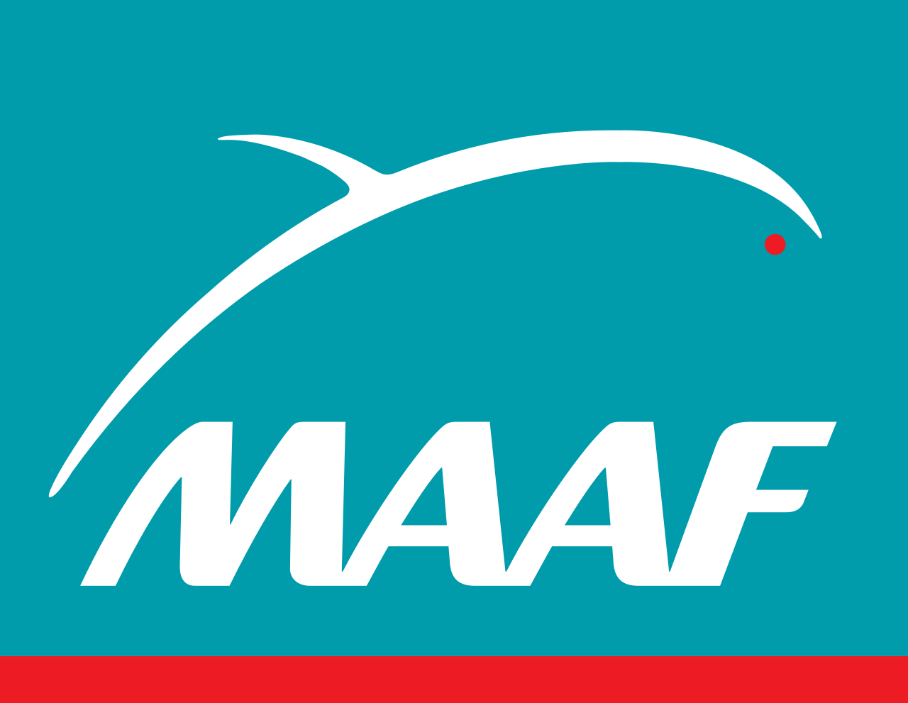MAAF VIE (Winalto) MAAF VIE (Winalto)