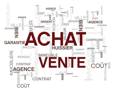 Dans l'immobilier ancien, la Fnaim constate un repli de 5,1% des transactions en 2013 Dans l'immobilier ancien, la Fnaim constate un repli de 5,1% des transactions en 2013