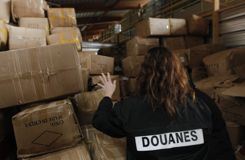 Les saisies de contrefaçons en hausse en 2014