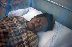 Un vaccin contre la dengue disponible dès la mi-2015