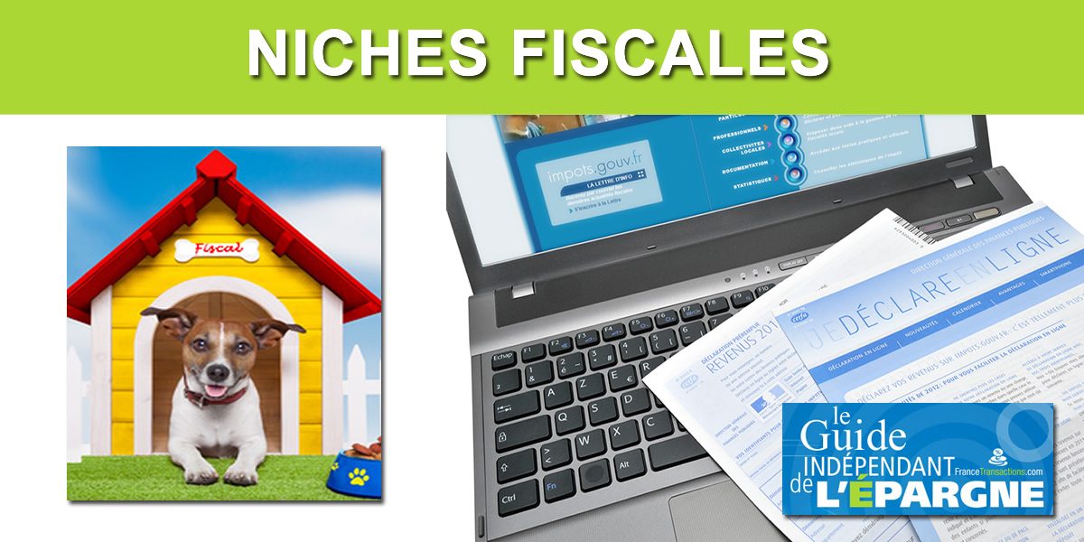 TOP 25 des niches fiscales 2021 TOP 25 des niches fiscales 2021