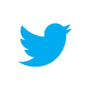 #Twitter : abattue en plein vol, l'action ne gazouille plus