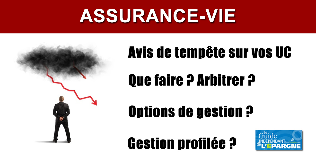 Assurance-vie : avis de tempête sur vos unités de compte ? Assurance-vie : avis de tempête sur vos unités de compte ?