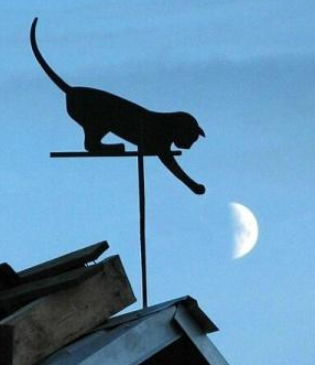 Performance énergétique : le patronat du bâtiment dénonce des obligations surréalistes