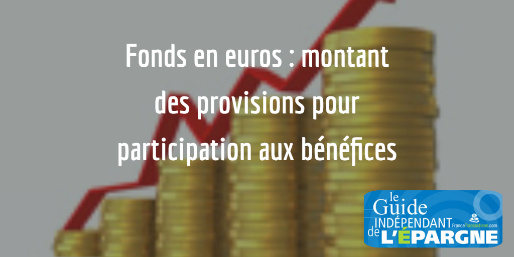 Fonds en euros : montants des provisions pour participation aux bénéfices (PPB), assureur par assureur Fonds en euros : montants des provisions pour participation aux bénéfices (PPB), assureur par assureur
