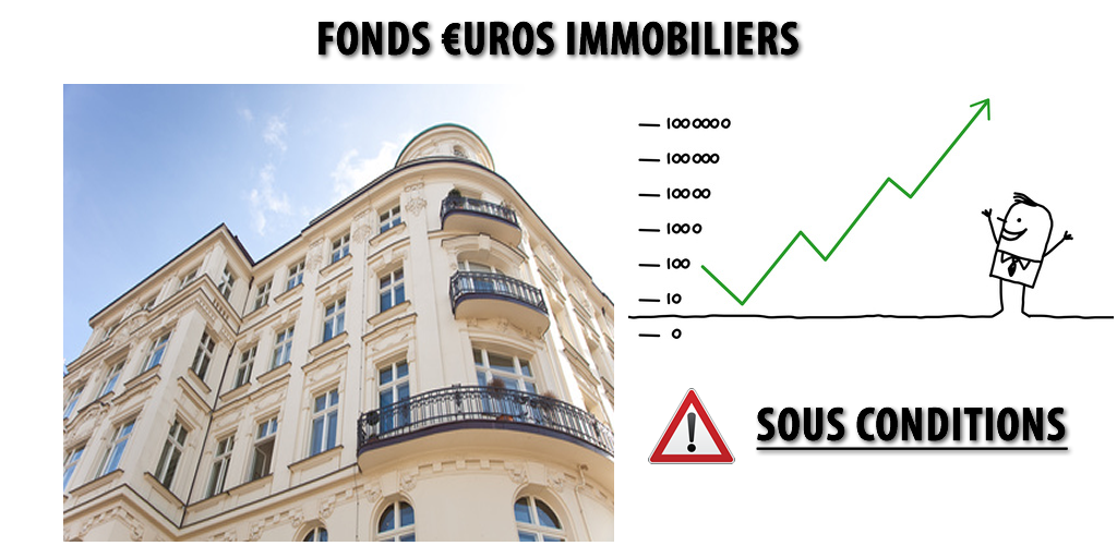 Fonds euros immobiliers : des performances 2018 à pondérer Fonds euros immobiliers : des performances 2018 à pondérer