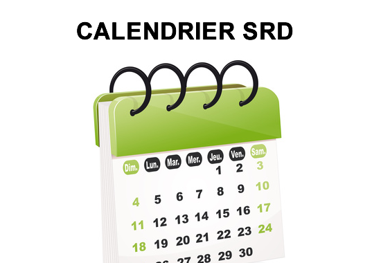 Bourse : calendrier des liquidations SRD 2020 à venir Bourse : calendrier des liquidations SRD 2020 à venir