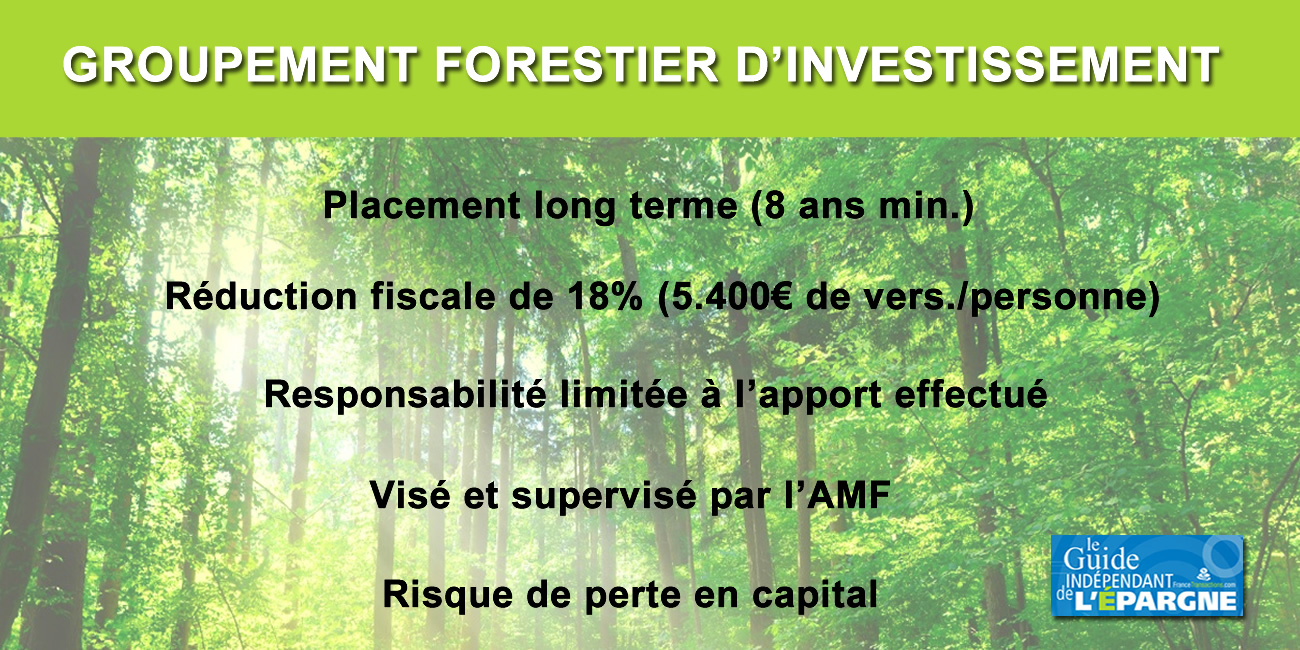 Groupement Forestier d'Investissement (GFI) : France Valley obtient le premier Visa AMF du marché Groupement Forestier d'Investissement (GFI) : France Valley obtient le premier Visa AMF du marché