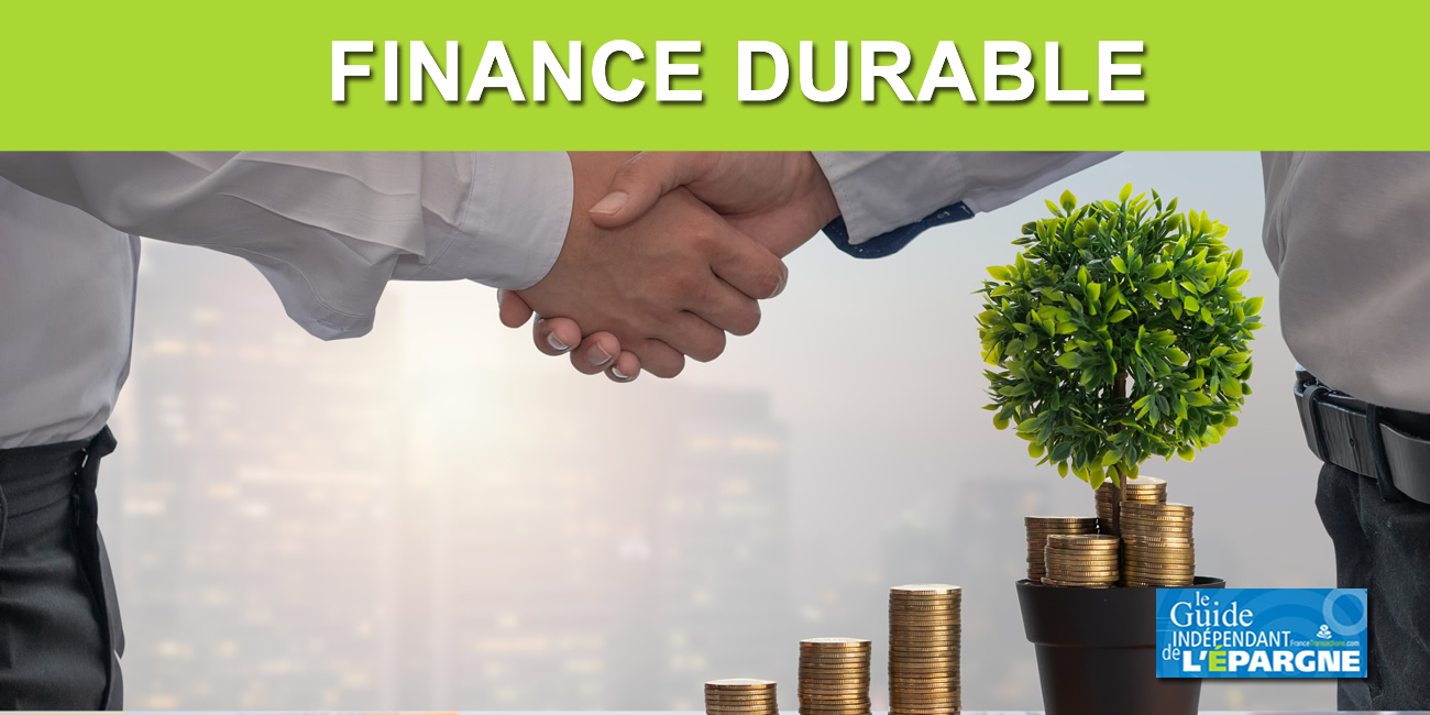 Finance durable : un engouement certain, une offre pléthorique, mais une vision de plus en plus brouillée Finance durable : un engouement certain, une offre pléthorique, mais une vision de plus en plus brouillée