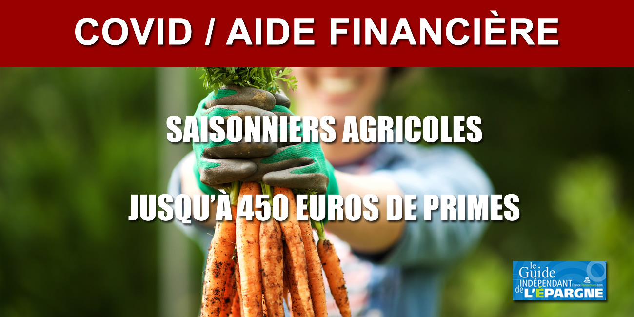 Aide financière pour les saisonniers agricoles : jusqu'à 450 euros de primes versées à compter du 1er juillet Aide financière pour les saisonniers agricoles : jusqu'à 450 euros de primes versées à compter du 1er juillet