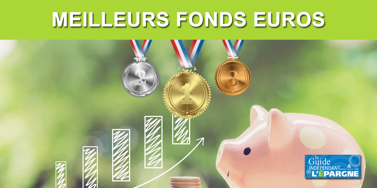Assurance-vie 2021 : meilleurs fonds euros avec répartition à 50% en unités de compte Assurance-vie 2021 : meilleurs fonds euros avec répartition à 50% en unités de compte