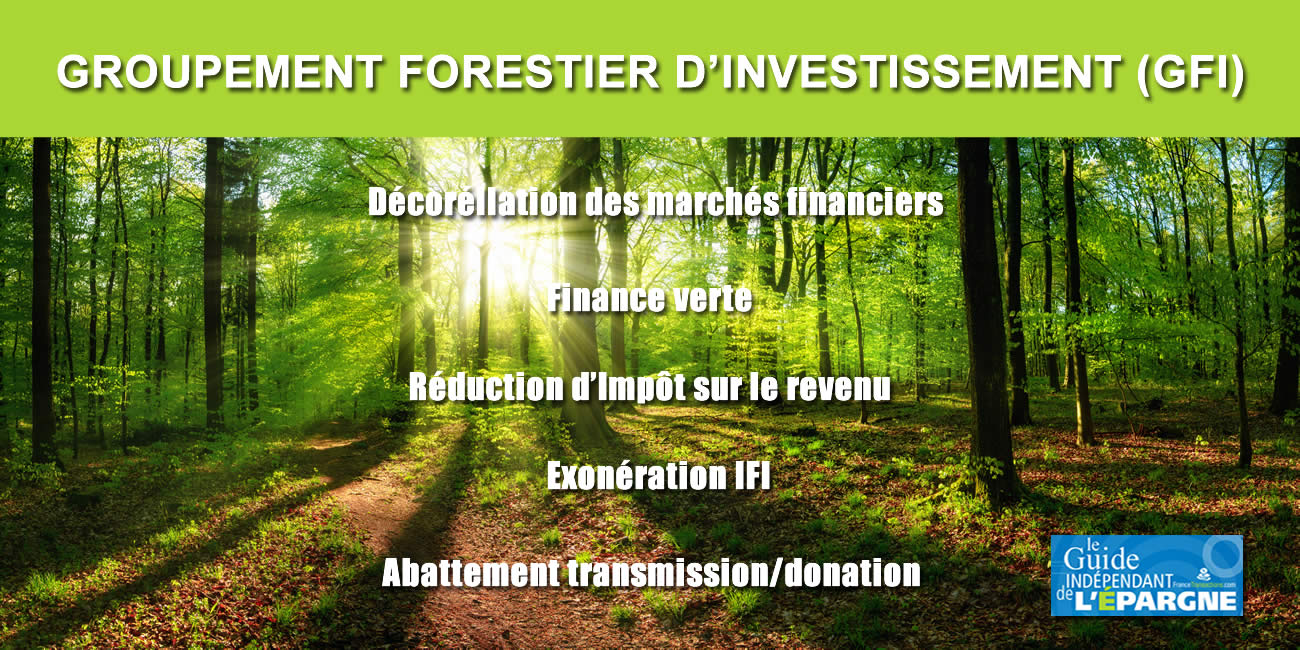 Finance verte : investir dans des forêts, tout en réduisant vos impôts ? Finance verte : investir dans des forêts, tout en réduisant vos impôts ?