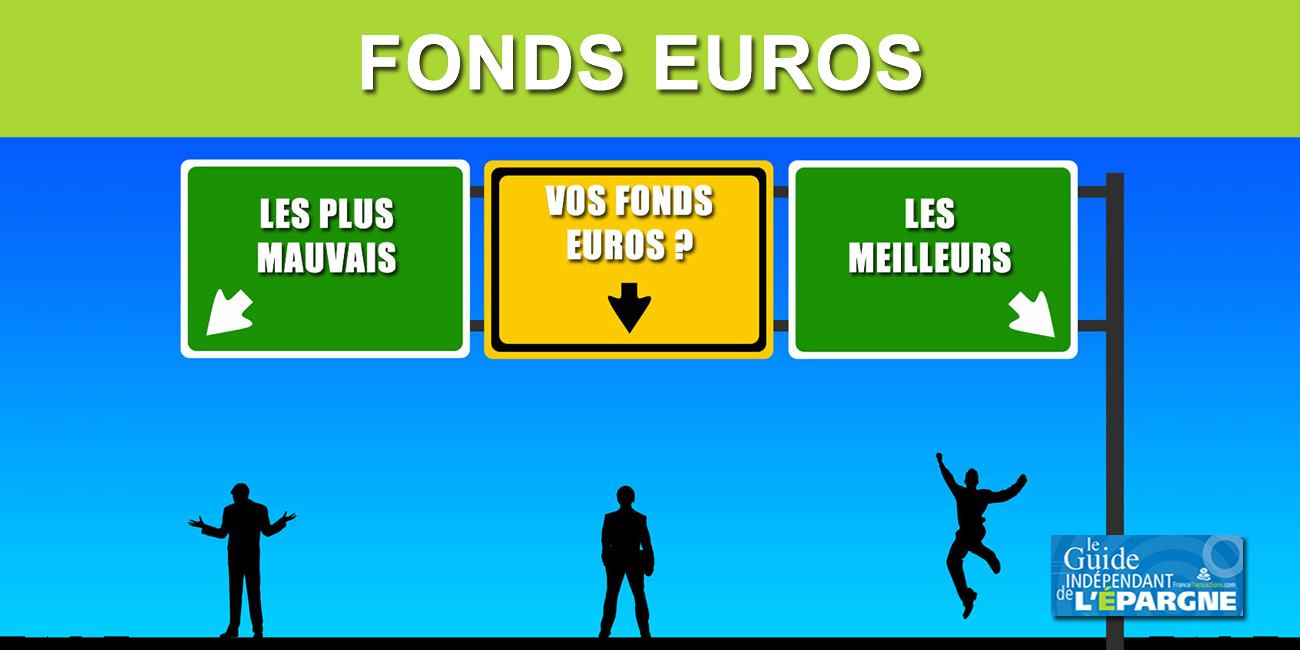 Assurance-vie : les meilleurs et les pires fonds euros 2022, Top et Flop des rendements des fonds euros 2021 Assurance-vie : les meilleurs et les pires fonds euros 2022, Top et Flop des rendements des fonds euros 2021