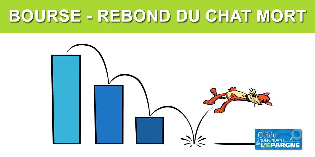 Bourse : Fort rebond du CAC40 cette semaine +3.24%, avec +3.23% pour ce seul vendredi, mais personne n'est dupe, le rebond du chat mort ? Bourse : Fort rebond du CAC40 cette semaine +3.24%, avec +3.23% pour ce seul vendredi, mais personne n'est dupe, le rebond du chat mort ?