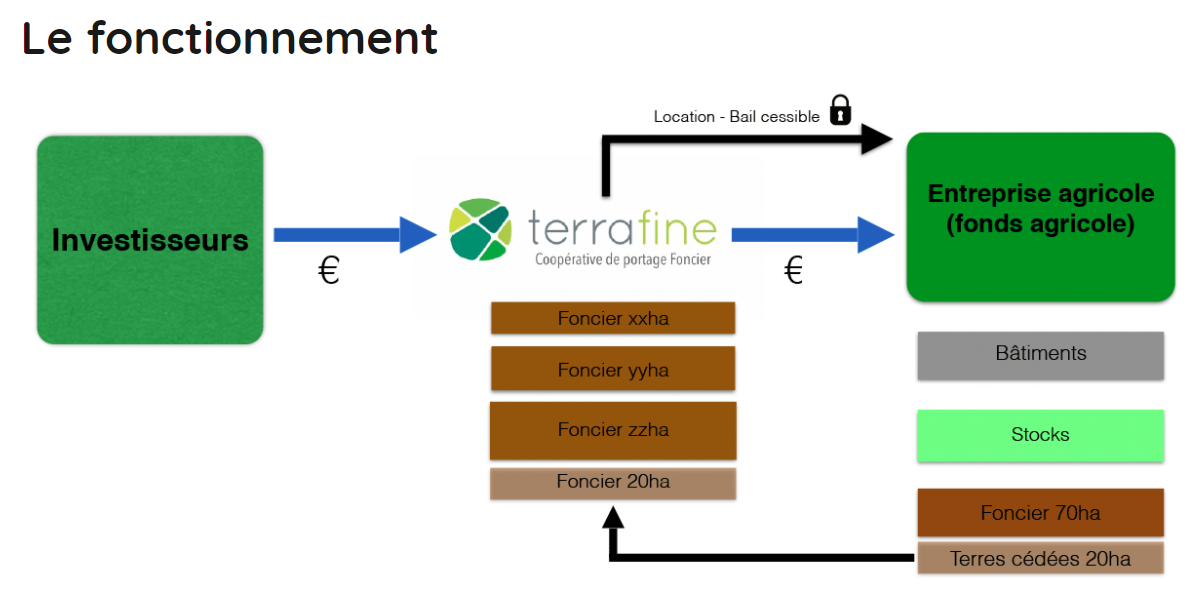 TERRAFINE : fonctionnement du système financier