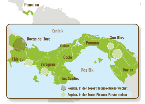 des plantations d’arbres au Panama