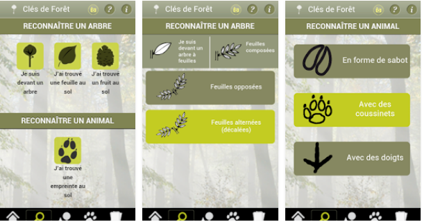 Application Clés de Forêts sur Google Play